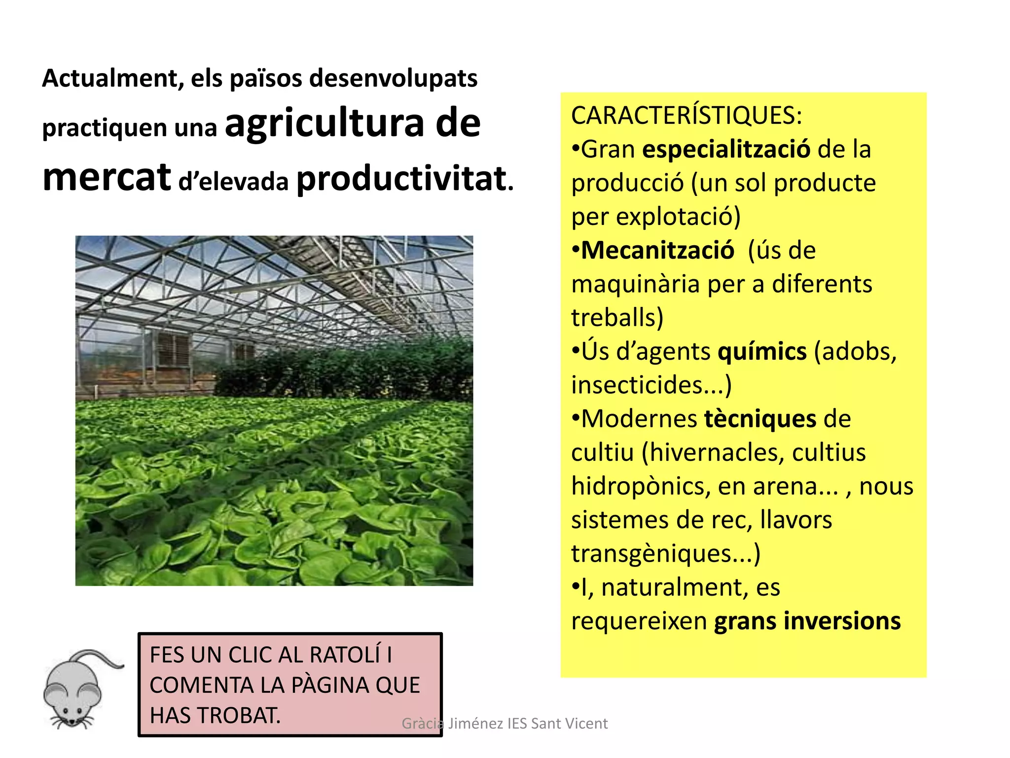 Actualment, els països desenvolupats
practiquen una agricultura               de              CARACTERÍSTIQUES:
                                                         •Gran especialització de la
mercat d’elevada productivitat.                          producció (un sol producte
                                                         per explotació)
                                                         •Mecanització (ús de
                                                         maquinària per a diferents
                                                         treballs)
                                                         •Ús d’agents químics (adobs,
                                                         insecticides...)
                                                         •Modernes tècniques de
                                                         cultiu (hivernacles, cultius
                                                         hidropònics, en arena... , nous
                                                         sistemes de rec, llavors
                                                         transgèniques...)
                                                         •I, naturalment, es
                                                         requereixen grans inversions
        FES UN CLIC AL RATOLÍ I
        COMENTA LA PÀGINA QUE
        HAS TROBAT.             Gràcia Jiménez IES Sant Vicent
 