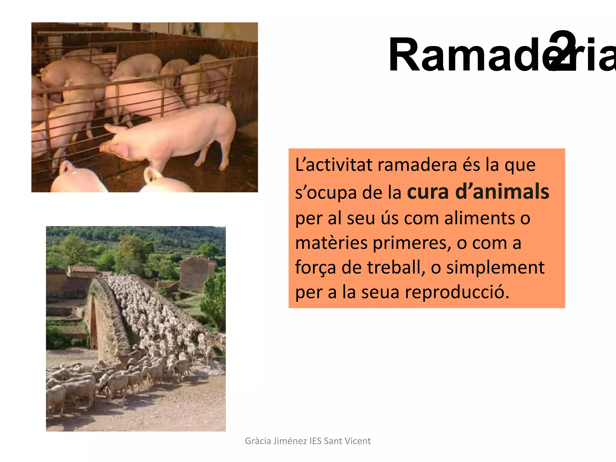 2
                                 Ramaderia

           L’activitat ramadera és la que
           s’ocupa de la cura d’animals
           per al seu ús com aliments o
           matèries primeres, o com a
           força de treball, o simplement
           per a la seua reproducció.




Gràcia Jiménez IES Sant Vicent
 