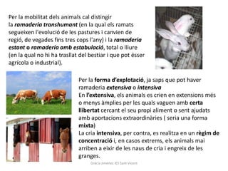 Per la mobilitat dels animals cal distingir
la ramaderia transhumant (en la qual els ramats
segueixen l'evolució de les pastures i canvien de
regió, de vegades fins tres cops l'any) i la ramaderia
estant o ramaderia amb estabulació, total o lliure
(en la qual no hi ha trasllat del bestiar i que pot ésser
agrícola o industrial).

                             Per la forma d’explotació, ja saps que pot haver
                             ramaderia extensiva o intensiva
                             En l’extensiva, els animals es crien en extensions més
                             o menys àmplies per les quals vaguen amb certa
                             llibertat cercant el seu propi aliment o sent ajudats
                             amb aportacions extraordinàries ( seria una forma
                             mixta)
                             La cria intensiva, per contra, es realitza en un règim de
                             concentració i, en casos extrems, els animals mai
                             arriben a eixir de les naus de cria i engreix de les
                             granges.
                                  Gràcia Jiménez IES Sant Vicent
 