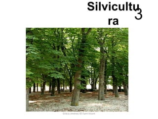 Silvicultu
                          ra   3




Gràcia Jiménez IES Sant Vicent
 