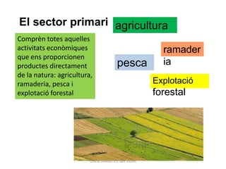 El sector primari agricultura
:
Comprèn totes aquelles
activitats econòmiques                                          ramader
que ens proporcionen
productes directament                         pesca             ia
de la natura: agricultura,
              El l sector primari :
ramaderia, pesca i                                            Explotació
              1. L’agricultura
explotació forestal
              tor primari :                                   forestal
                1. L’agricultura




                             Gràcia Jiménez IES Sant Vicent
 