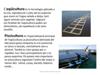 L'aqüicultura és la tecnologia aplicada a
la cria, reproducció i cultiu de les espècies
que viuen en l'aigua salada o dolça, tant
siguin animals com vegetals (algues)
Les finalitat de l'aqüicultura poden ser
alimentàries, de repoblació o de caire
científic.

Piscicultura és l'especialització principal
de l’aqüicultura.La piscicultura (derivada del
llatí piscis:peix) comporta la cria comercial
en tancs o tancats, normalment com a
aliment. També es crien peixos per a
repoblar rius i llacs principalment per a la
pesca esportiva. Els peixos més importants
en piscicultura segueixen l'ordre (de major a
menor de): salmó, carpa, bacallà, llobarro,
orada...
                                  Gràcia Jiménez IES Sant Vicent
 