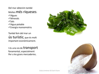 Del mar obtenim també
Moltes més riqueses:
Algues
Minerals
Sals
Aigua potable
Energia mareomotriu

També fem del mar un
ús turístic, que és molt
important econòmicament.

I és una via de transport
fonamental, especialment
Per a les grans mercaderies.




                               Gràcia Jiménez IES Sant Vicent
 