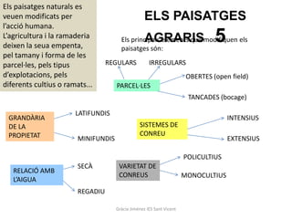 Els paisatges naturals es
veuen modificats per                               ELS PAISATGES
l’acció humana.
L’agricultura i la ramaderia
deixen la seua empenta,
                                                   AGRARIS                      5
                                       Els principals elements que modifiquen els
                                       paisatges són:
pel tamany i forma de les
parcel·les, pels tipus            REGULARS           IRREGULARS
d’explotacions, pels                                                   OBERTES (open field)
diferents cultius o ramats...        PARCEL·LES
                                                                       TANCADES (bocage)

                       LATIFUNDIS
 GRANDÀRIA                                                                          INTENSIUS
 DE LA                                          SISTEMES DE
 PROPIETAT                                      CONREU
                        MINIFUNDIS                                                  EXTENSIUS

                                                                      POLICULTIUS
                        SECÀ          VARIETAT DE
   RELACIÓ AMB
                                      CONREUS                         MONOCULTIUS
   L’AIGUA
                        REGADIU

                                     Gràcia Jiménez IES Sant Vicent
 