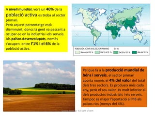 A nivell mundial, vora un 40% de la
població activa es troba al sector
primari.
Però aquest percentatge està
disminuint, doncs la gent va passant a
ocupar-se en la indústria i els serveis.
Als països desenvolupats, només
s’ocupen entre l’1% i el 6% de la
població activa.




                                                        Pel que fa a la producció mundial de
                                                        béns i serveis, el sector primari
                                                        aporta només el 4% del valor del total
                                                        dels tres sectors. Es produeix més cada
                                                        any, però el seu valor és molt inferior al
                                                        dels productes industrials i els serveis.
                                                        Tampoc és major l’aportació al PIB als
                                                        països rics (menys del 4%).
                                     Gràcia Jiménez IES Sant Vicent
 