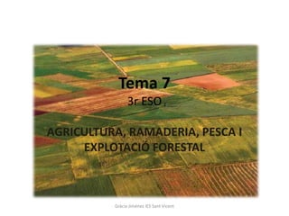 Tema 7
                3r ESO

AGRICULTURA, RAMADERIA, PESCA I
     EXPLOTACIÓ FORESTAL



          Gràcia Jiménez IES Sant Vicent
 
