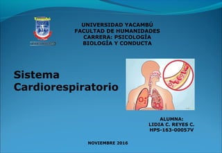 Sistema
Cardiorespiratorio
ALUMNA:
LIDIA C. REYES C.
HPS-163-00057V
UNIVERSIDAD YACAMBÚ
FACULTAD DE HUMANIDADES
CARRERA: PSICOLOGÍA
BIOLOGÍA Y CONDUCTA
NOVIEMBRE 2016
 