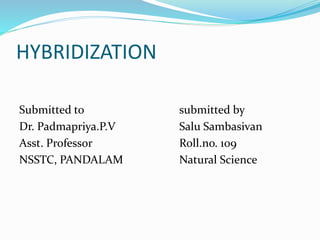 HYBRIDIZATION 
Submitted to submitted by 
Dr. Padmapriya.P.V Salu Sambasivan 
Asst. Professor Roll.no. 109 
NSSTC, PANDALAM Natural Science 
 