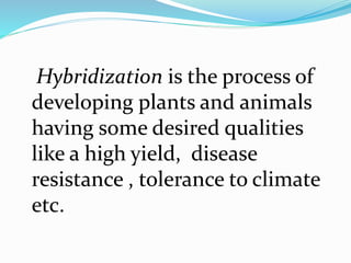 Hybridization is the process of 
developing plants and animals 
having some desired qualities 
like a high yield, disease 
resistance , tolerance to climate 
etc. 
 