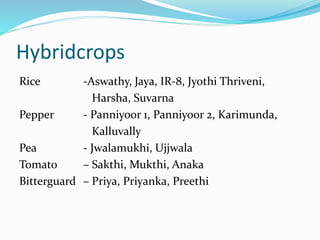 Hybridcrops 
Rice -Aswathy, Jaya, IR-8, Jyothi Thriveni, 
Harsha, Suvarna 
Pepper - Panniyoor 1, Panniyoor 2, Karimunda, 
Kalluvally 
Pea - Jwalamukhi, Ujjwala 
Tomato – Sakthi, Mukthi, Anaka 
Bitterguard – Priya, Priyanka, Preethi 
 