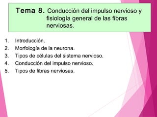 Tema 8. Conducción del impulso nervioso y
fisiología general de las fibras
nerviosas.
1. Introducción.
2. Morfología de la neurona.
3. Tipos de células del sistema nervioso.
4. Conducción del impulso nervioso.
5. Tipos de fibras nerviosas.
 