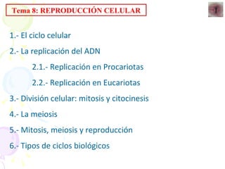 Tema 8: REPRODUCCIÓN CELULAR 1.- El ciclo celular 2.- La replicación del ADN 2.1.- Replicación en Procariotas 2.2.- Replicación en Eucariotas 3.- División celular: mitosis y citocinesis 4.- La meiosis 5.- Mitosis, meiosis y reproducción 6.- Tipos de ciclos biológicos 