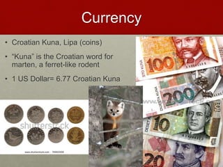 Currency
• Croatian Kuna, Lipa (coins)
• “Kuna” is the Croatian word for
marten, a ferret-like rodent
• 1 US Dollar= 6.77 Croatian Kuna
 