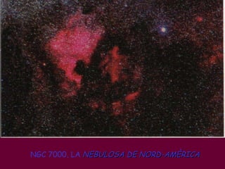 NGC 7000, LA  NEBULOSA DE NORD-AMÈRICA 