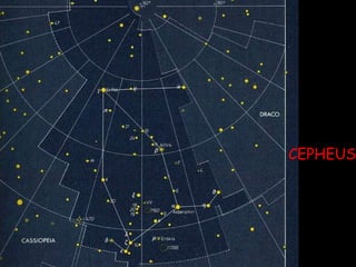 CEPHEUS 