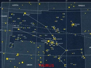 TAURUS 