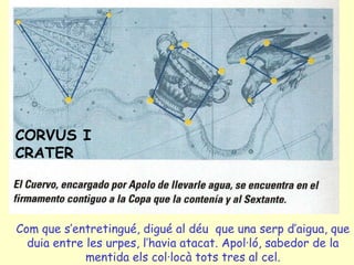 CORVUS I CRATER Com que s’entretingué, digué al déu  que una serp d’aigua, que duia entre les urpes, l’havia atacat. Apol·ló, sabedor de la mentida els col·locà tots tres al cel. 