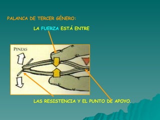 PALANCA DE TERCER GÉNERO: LA  FUERZA  ESTÁ ENTRE LAS RESISTENCIA Y EL PUNTO DE APOYO . 