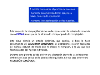 A medida que avanza el proceso de sucesión:
- Aumenta la complejidad (más especies y
mayor número de relaciones).
- Aumenta la especialización de las especies.
A medida que avanza el proceso de sucesión:
- Aumenta la complejidad (más especies y
mayor número de relaciones).
- Aumenta la especialización de las especies.
Este aumento de complejidad deriva en la consecución de estado de conocido
como ClÍMAX, en el que se ha alcanzado el mayor grado de complejidad.
Este sigue siendo un estado dinámico, que cambia, si bien lo hace
conservando un EQUILIBRIO ECOLÓGICO: las poblaciones estarán reguladas
de manera natural, de modo que ni crecen ni menguan, a la vez que son
reemplazadas por nuevos individuos.
Durante este periodo puede ocurrir una alteración grave de las condiciones
ambientales que derive en la pérdida del equilibrio. En ese caso ocurre una
REGRESIÓN ECOLÓGICA.
 
