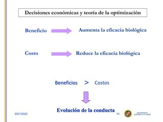 14
2021/2022
Beneficio
Costo
Evolución de la conducta
Costos
Reduce la eficacia biológica
Beneficios >
Decisiones económicas y teoría de la optimización
Aumenta la eficacia biológica
 
