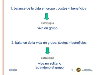 16
2021/2022
1. balance de la vida en grupo : costes < beneficios
2. balance de la vida en grupo: costes > beneficios
vivo en grupo
estrategia
vivo en solitario
abandono el grupo
estrategia
 