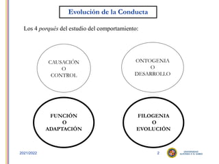 2
2021/2022
Evolución de la Conducta
Los 4 porqués del estudio del comportamiento:
CAUSACIÓN
O
CONTROL
ONTOGENIA
O
DESARROLLO
FUNCIÓN
O
ADAPTACIÓN
FILOGENIA
O
EVOLUCIÓN
FILOGENIA
O
EVOLUCIÓN
FUNCIÓN
O
ADAPTACIÓN
 