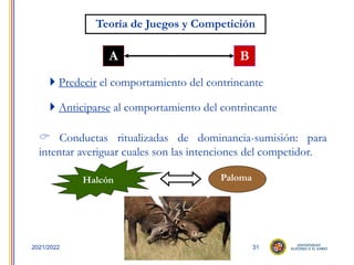 31
2021/2022
Halcón Paloma
 Conductas ritualizadas de dominancia-sumisión: para
intentar averiguar cuales son las intenciones del competidor.
Teoría de Juegos y Competición
A B
Competición
 Anticiparse al comportamiento del contrincante
 Predecir el comportamiento del contrincante
 