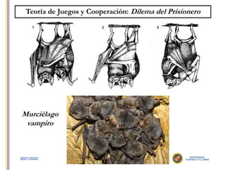 37
2021/2022
Teoría de Juegos y Cooperación: Dilema del Prisionero
Murciélago
vampiro
 