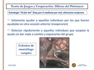 39
2021/2022
Estrategia “tit for tat” (hoy por ti mañana por mi): altruismo reciproco
 Detectar rápidamente a aquellos individuos que aceptan la
ayuda sin dar nada a cambio y expulsarlos del grupo
 Solamente ayudar a aquellos individuos por los que fueron
ayudados en otra ocasión anterior (cooperaron)
Colonias de
murciélago
vampiro
Teoría de Juegos y Cooperación: Dilema del Prisionero
 