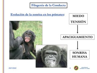 4
2021/2022
Filogenia de la Conducta
Evolución de la sonrisa en los primates: MIEDO
TENSIÓN
APACIGUAMIENTO
SONRISA
HUMANA
 