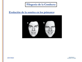 5
2021/2022
Filogenia de la Conducta
Evolución de la sonrisa en los primates:
 