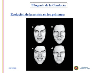 6
2021/2022
Filogenia de la Conducta
Evolución de la sonrisa en los primates:
 