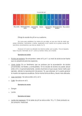 Dibuja la escala de pH en su cuaderno.
Así como para establecer los metros de una tabla, se usa una cinta de medir que
posee milímetros, centímetros y metros, igualmente el pH cuenta con su propia escala. De
esta forma encontraremos que ésta va desde 0 a 14.
Alcanzar el 0 (cero) es indicador de máxima acidez, por su parte, 14 es el opuesto,
base. El punto intermedio es el 7, como su nombre indica, es lo neutral.
Ejemplos de ácidos
 Ácidos de bacteria: Se encuentran entre el 0 y el 1, su nivel de ácido es tan fuerte
que es perjudicial para las especies.
 Lluvia ácida: Es un fenómeno que se produce por la acumulación de ácidos
provenientes de fósiles y combustibles. En la escala de ácidos se puede ubicar
entre el 5 o 2 aproximadamente, siendo el primero el que cause menor daño (por
ejemplo, afectar la reproducción de peces). Ya que alcanzar el 2, puede generar
la muerte de especies acuáticas. De la misma forma la flora y fauna más delicada.
 Jugo de limón: Se ubica entre el 2 y el 3.
 Café: Se ubica en el 5.
Ejemplos de neutro
 Sangre
 Leche
Ejemplos de bases
 Leche de magnesia: En la tabla de pH se ubica entre 10 y 11. Este producto es
de consumo medicinal.
 