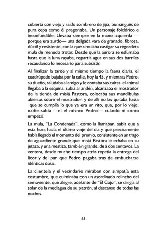 cubierta con viejo y raído sombrero de jipa, bumangués de
pura cepa como él pregonaba. Un personaje folclórico e
inconfundible. Llevaba siempre en la mano izquierda —
porque era zurdo— una delgada vara de granado, fibrosa,
dúctil y resistente, con la que simulaba castigar su regordeta
mula de menudo trotar. Desde que la aurora se esfumaba
hasta que la luna rayaba, repartía agua en sus dos barriles
recaudando lo necesario para subsistir.
Al finalizar la tarde y al mismo tiempo la faena diaria, el
cuadrúpedo bajaba por la calle, hoy la 45, y mientras Pedro,
su dueño, saludaba al amigo y le contaba sus cuitas, el animal
llegaba a la esquina, subía al andén, alcanzaba el mostrador
de la tienda de misiá Pastora, colocaba sus mandíbulas
abiertas sobre el mostrador, y de allí no las quitaba hasta
  que se cumplía lo que ya era un rito, que, por lo viejo,
nadie sabía —ni el mismo Pedro— cuándo ni cómo
empezó.
La mula, “La Condenada”, como la llamaban, sabía que a
esta hora hacía el último viaje del día y que precisamente
había llegado el momento del premio, consistente en un trago
de aguardiente grande que misiá Pastora le echaba en su
jetaza, y una mestiza, también grande, de a dos centavos. La
ventera, desde mucho tiempo atrás repetía la entrega del
licor y del pan que Pedro pagaba tras de embucharse
idénticas dosis.
La clientela y el vecindario miraban con simpatía esta
costumbre, que culminaba con un asordinado relincho del
semoviente, que alegre, adelante de “El Cojo”, se dirigía al
solar de la mediagua de su patrón, al descanso de todas las
noches.




                             65
 