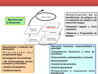 • Revisión por
la Dirección
• Seguimiento y medición del
desempeño
• E v a l u a c i ó n d e l
cumplimiento legal
• Investigación de Incidentes
•  No Conformidades, Acción
Correctiva y Preventiva
• Gestión de Registros
• Auditoría Interna
• Recursos, funciones, responsabilidad y
autoridad
• Competencia, formación y toma de
conciencia
• Comunicación, participación y consulta
• Documentación
• Control de documentos
• Control operacional
• P r e p a r a c i ó n y r e s p u e s t a a n t e
emergencias
• P l a n i f i c a c i ó n d e l a
identificación de peligros, de
la evaluación de riesgos y del
control de riesgos
• Requisitos legales y otros
requisitos
• Objetivos y Programa(s) de
Gestión
 