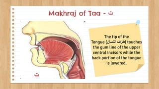 Taa Language Script Taa - Introducing Arabic Letters .pdf