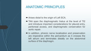 ANATOMIC PRINCIPLES
 Arises distal to the origin of Left SCA.
 TAA span the diaphragmatic hiatus at the level of Tl2
and introduce important considerations for pleural entry,
peritoneal access, and diaphragmatic conservation for
aortic repair.
 In addition, phrenic nerve localization and preservation
are imperative within the pericardium as it crosses the
left atrium and terminates distally on the abdominal
surface of the diaphragm.
 