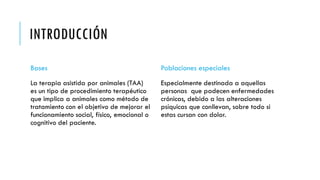 INTRODUCCIÓN
Bases
La terapia asistida por animales (TAA)
es un tipo de procedimiento terapéutico
que implica a animales como método de
tratamiento con el objetivo de mejorar el
funcionamiento social, físico, emocional o
cognitivo del paciente.
Poblaciones especiales
Especialmente destinada a aquellas
personas que padecen enfermedades
crónicas, debido a las alteraciones
psíquicas que conllevan, sobre todo si
estas cursan con dolor.
 