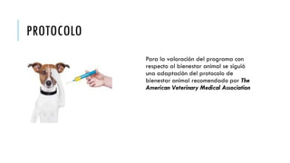 PROTOCOLO
Para la valoración del programa con
respecto al bienestar animal se siguió
una adaptación del protocolo de
bienestar animal recomendado por The
American Veterinary Medical Association
 