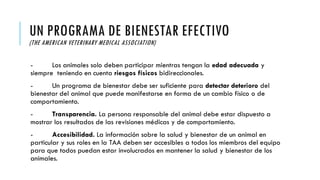 UN PROGRAMA DE BIENESTAR EFECTIVO
(THE AMERICAN VETERINARY MEDICAL ASSOCIATION)
- Los animales solo deben participar mientras tengan la edad adecuada y
siempre teniendo en cuenta riesgos físicos bidireccionales.
- Un programa de bienestar debe ser suficiente para detectar deterioro del
bienestar del animal que puede manifestarse en forma de un cambio físico o de
comportamiento.
- Transparencia. La persona responsable del animal debe estar dispuesto a
mostrar los resultados de las revisiones médicas y de comportamiento.
- Accesibilidad. La información sobre la salud y bienestar de un animal en
particular y sus roles en la TAA deben ser accesibles a todos los miembros del equipo
para que todos puedan estar involucrados en mantener la salud y bienestar de los
animales.
 