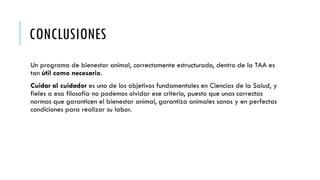 CONCLUSIONES
Un programa de bienestar animal, correctamente estructurado, dentro de la TAA es
tan útil como necesario.
Cuidar al cuidador es uno de los objetivos fundamentales en Ciencias de la Salud, y
fieles a esa filosofía no podemos olvidar ese criterio, puesto que unas correctas
normas que garanticen el bienestar animal, garantiza animales sanos y en perfectas
condiciones para realizar su labor.
 