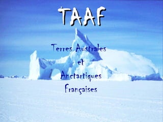 TAAF Terres Australes   et Anctartiques Françaises 