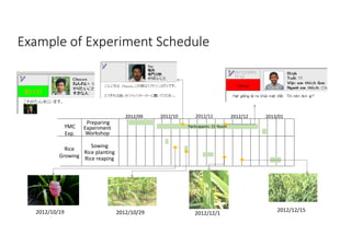 Example of Experiment Schedule
2012/09 2012/10 2012/11 2012/12 2013/01
Participants: 15 Youth
Sowing
Rice planting
Rice re...