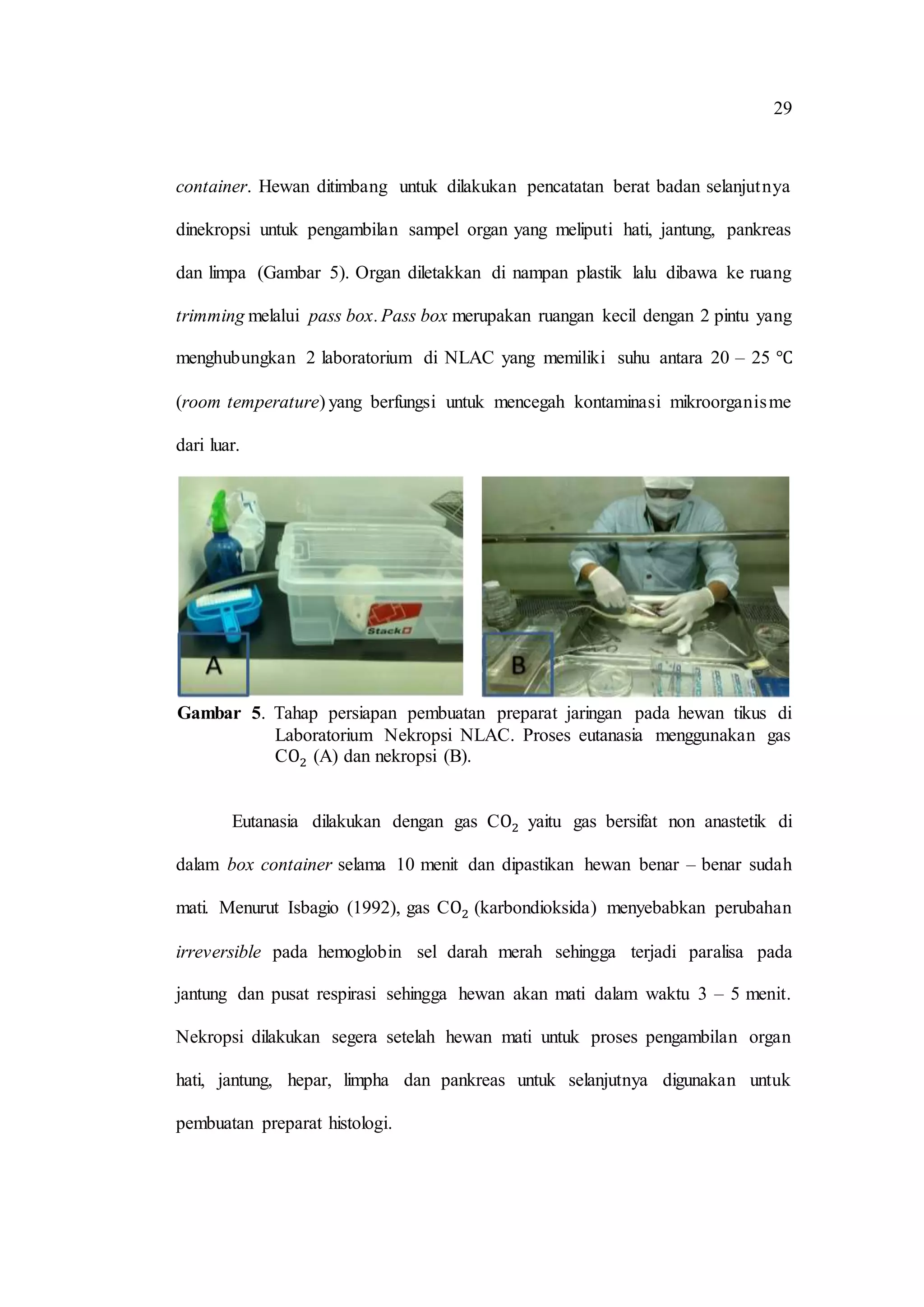 Teknik pembuatan preparat histologi dengan pewarnaan hematoksilin eosin ...