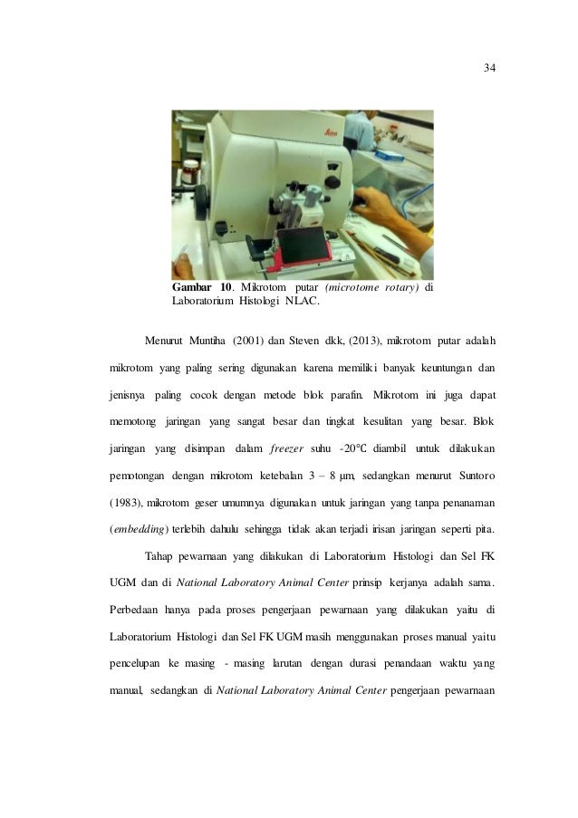 Teknik Pembuatan Preparat Histologi Dengan Pewarnaan Hematoksilin Eos