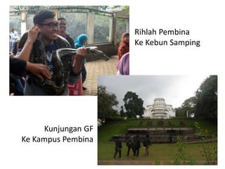 Rihlah Pembina
Ke Kebun Samping
Kunjungan GF
Ke Kampus Pembina
 