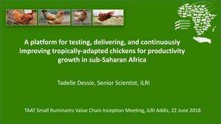 A platform for testing, delivering, and continuously
improving tropically-adapted chickens for productivity
growth in sub-Saharan Africa
Tadelle Dessie, Senior Scientist, ILRI
TAAT Small Ruminants Value Chain Inception Meeting, ILRI Addis, 22 June 2018
 