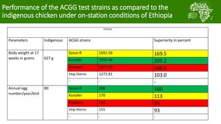 A platform for testing, delivering, and continuously improving tropically-adapted chickens for productivity growth in sub-Saharan Africa