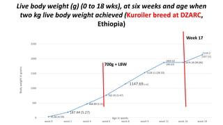 A platform for testing, delivering, and continuously improving tropically-adapted chickens for productivity growth in sub-Saharan Africa