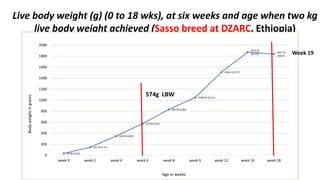 A platform for testing, delivering, and continuously improving tropically-adapted chickens for productivity growth in sub-Saharan Africa